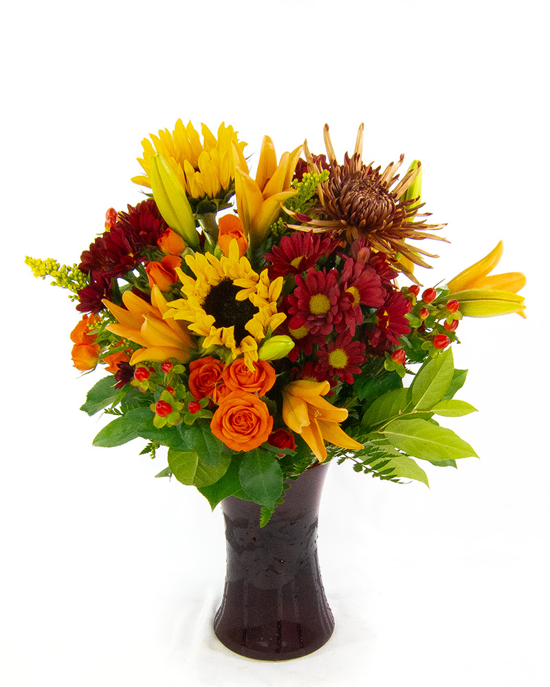 <b>Notice</b>: Undefined index: name in <b>/home/stranges/public_html/shop/vqmod/vqcache/vq2-catalog_view_theme_default_template_product_search.tpl</b> on line <b>386</b> <b>Notice</b>: Undefined index: name in <b>/home/stranges/public_html/shop/vqmod/vqcache/vq2-catalog_view_theme_default_template_product_search.tpl</b> on line <b>386</b>